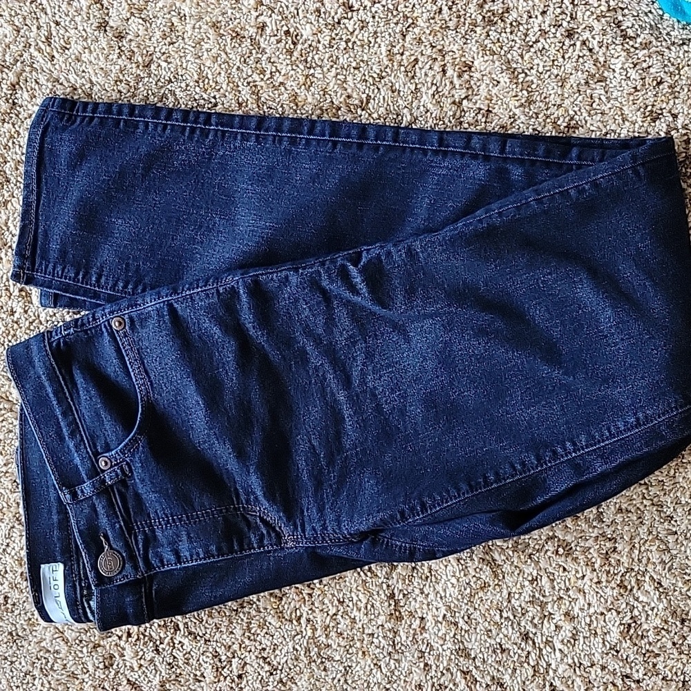 Loft - Anne Taylor jeans, modern skinny, size 4/27, like new